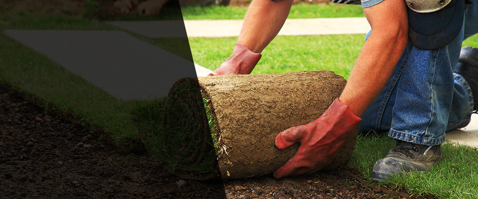 Bonney Lake Landscapers